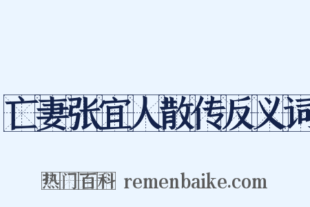 亡妻张宜人散传反义词是什么意思的图片